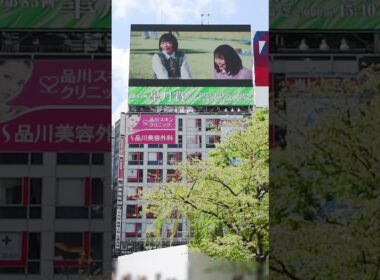 第85回皐月賞の告知を放映中！4/20に中山競馬場で開催されます、クラシック三冠競走の中でも最も速い馬が勝つと言われているレースです 暖かくなって、競馬場ピクニックにいい季節になってきましたね🤤🥪