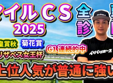 【マイルチャンピオンシップ2025】全頭診断～直近3走レース回顧編～