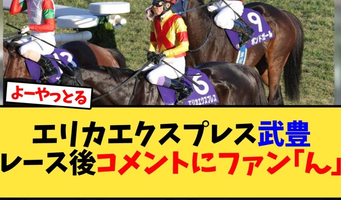 【エリザベス女王杯】エリカエクスプレス武豊レース後コメントにファン｢ん｣【競馬反応集】