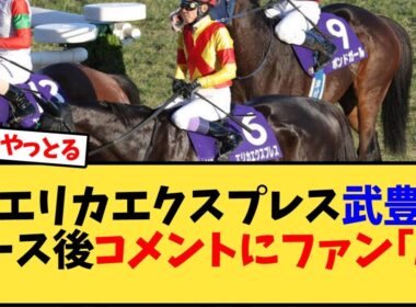 【エリザベス女王杯】エリカエクスプレス武豊レース後コメントにファン｢ん｣【競馬反応集】