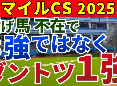 マイルチャンピオンシップ2025 競馬YouTuber達が選んだ【確信軸】スプリント先行馬不在＝瞬発力1強！