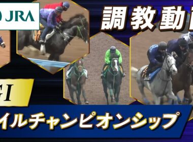 【調教動画】2025年 マイルチャンピオンシップ｜JRA公式