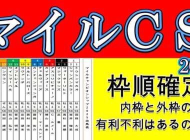 マイルチャンピオンシップ2025枠順確定！ジャンタルマンタルは7枠15番に入りソウルラッシュは8枠17番に入った！人気を集める2頭は共に外枠に入った！一方アスコリピチェーノは3枠5番と内枠に入った！