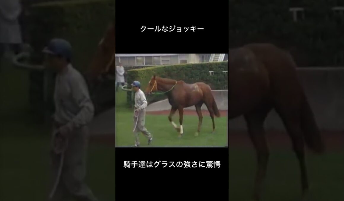 涼しい顔の的場均　#的場均 #競馬 #騎手 #グラスワンダー #朝日杯3歳ステークス #朝日杯フューチュリティステークス