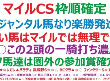 マイルチャンピオンシップ2025枠順確定　⑮ジャンタルマンタル、馬なり楽勝発進？弱い馬はマイルでは無理です！◎○この2頭の一騎打ち濃厚！アノ人気馬達は、圏外の参加賞確定か？！