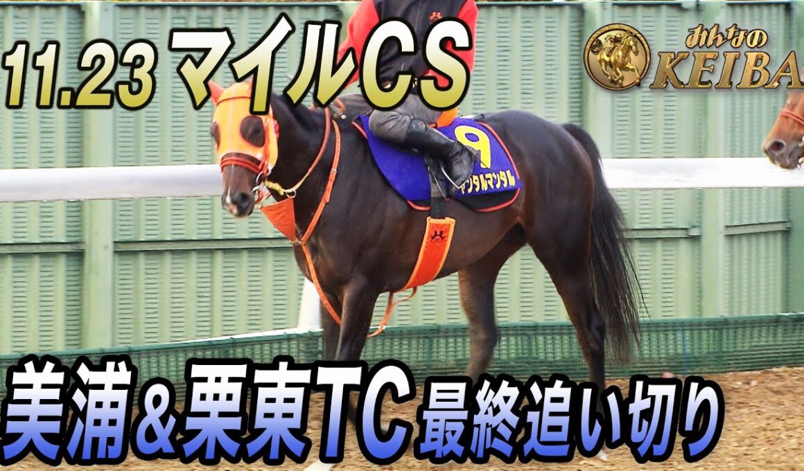 【2025 マイルCS・最終追い切り】国内外GⅠ馬6頭のマイル頂上決戦！　みんなのKEIBA 11月23日午後3時放送