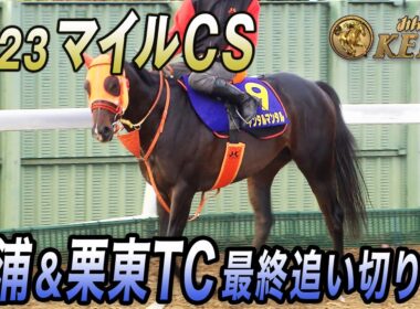 【2025 マイルCS・最終追い切り】国内外GⅠ馬6頭のマイル頂上決戦！　みんなのKEIBA 11月23日午後3時放送