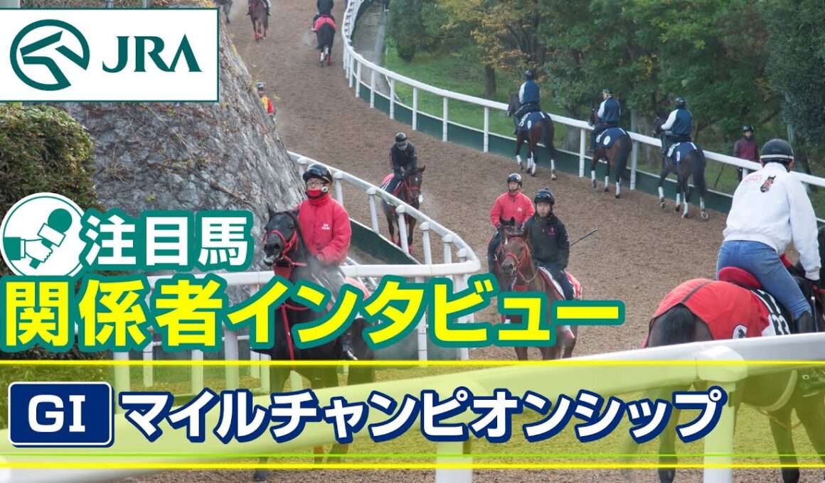 【注目馬 関係者インタビュー】2025年 マイルチャンピオンシップ｜JRA公式