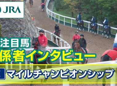 【注目馬 関係者インタビュー】2025年 マイルチャンピオンシップ｜JRA公式