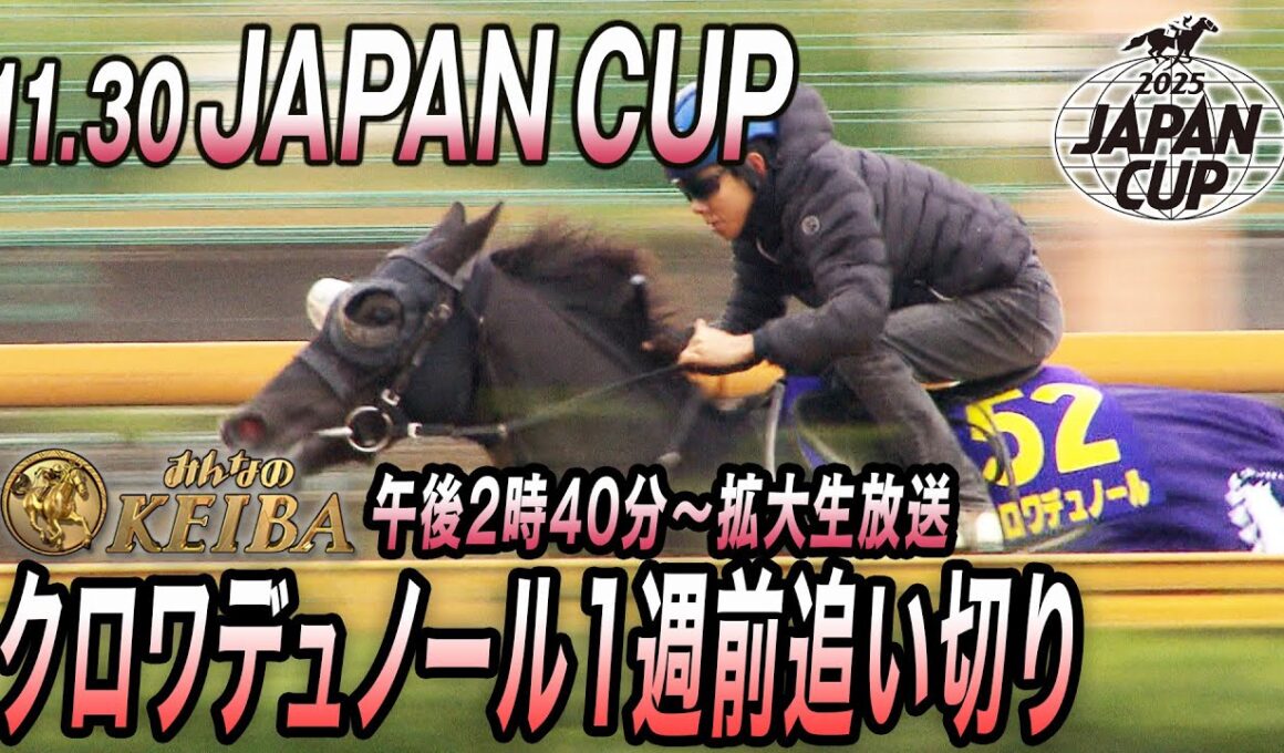 【2025 ジャパンカップ】日本ダービー馬クロワデュノール 1週前追い切り　みんなのKEIBA11月30日午後2時40分拡大放送