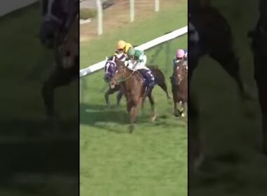 #エリザベス女王杯 #G1 #競馬 #京都競馬場 #女王決定戦 #レガレイラ #パラディレーヌ #ライラック #牝馬