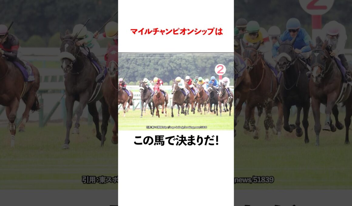 マイルチャンピオンシップはこの馬で決まりだ！