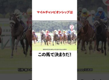 マイルチャンピオンシップはこの馬で決まりだ！