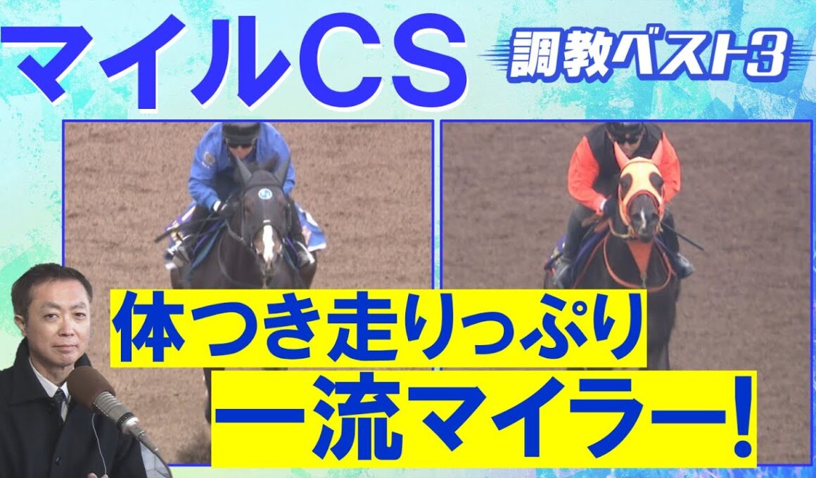 【「ハイレベルな動き」伏兵もランクイン！】ジャンタルマンタル、ソウルラッシュ、アスコリピチェーノ・・・競馬エイト・高橋賢司トラックマンの調教解説＜マイルチャンピオンシップ(ＧⅠ)＞