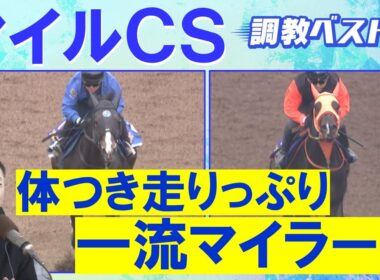 【「ハイレベルな動き」伏兵もランクイン！】ジャンタルマンタル、ソウルラッシュ、アスコリピチェーノ・・・競馬エイト・高橋賢司トラックマンの調教解説＜マイルチャンピオンシップ(ＧⅠ)＞