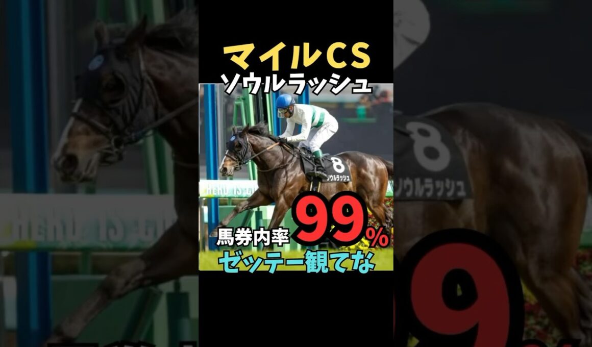 【マイルCS2025】馬券内率99%/ソウルラッシュ#マイルチャンピオンシップ #ソウルラッシュ #競馬 #競馬予想 #競馬予想tv #中央競馬予想 #ウマキング #うまログ #義英真