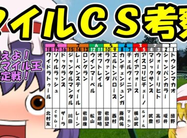 ゆっくり2025マイルチャンピオンシップ考察