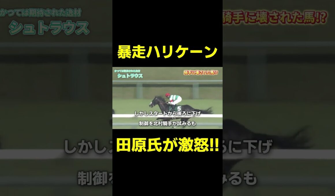 暴走馬に変貌してしまったシュトラウス 　#競馬 #競馬予想 #武豊 #オークス #平安ステークス