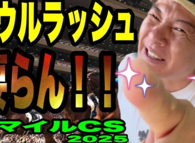 【マイルチャンピオンシップ2025】ソウルラッシュいらん！