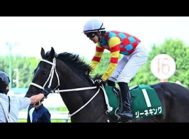 ✨🐎【ジーネキング、運命のホープフルＳ直行へ！急成長が止まらない新星の真価が試される】🐎✨