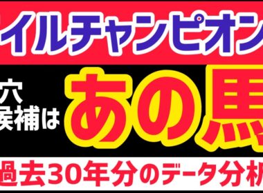 【マイルチャンピオンシップ2025】大穴馬の共通点を発見しました【競馬予想】