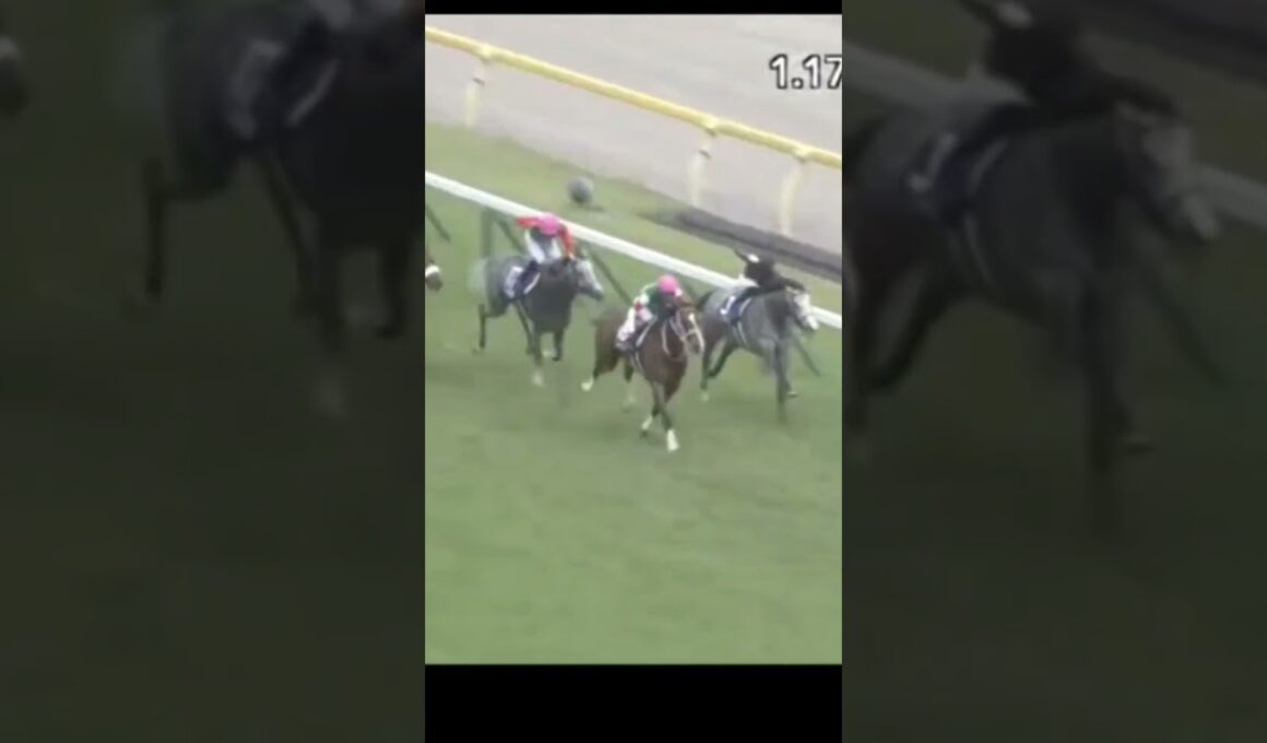 【🐎2021年】ヴィクトリアマイルGⅠ【グランアレグリア/C.ルメール】