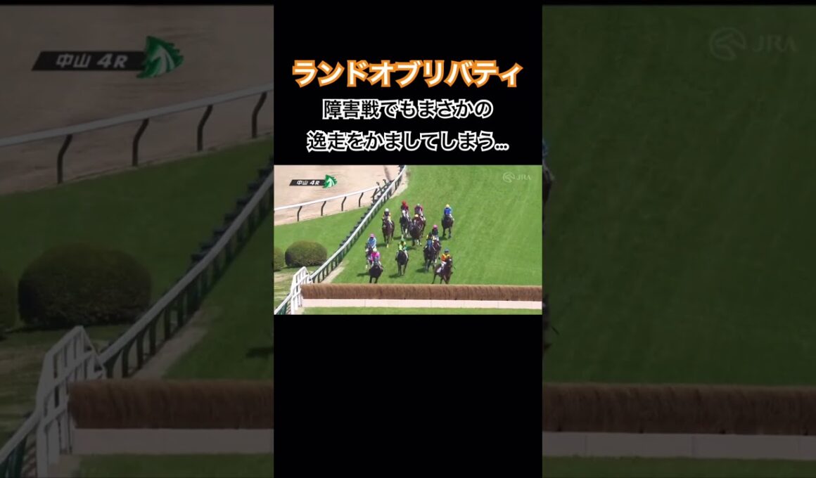 障害戦でも逸走してしまうランドオブリバティ #競馬 #ランドオブリバティ