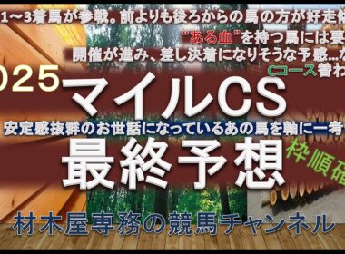 【競馬予想】　マイルチャンピオンシップ2025　最終予想　”ある血”を持つ馬には要注目！？　その血を持つ馬が昨年も2・3着に好走　主軸は”あの馬”から行きます