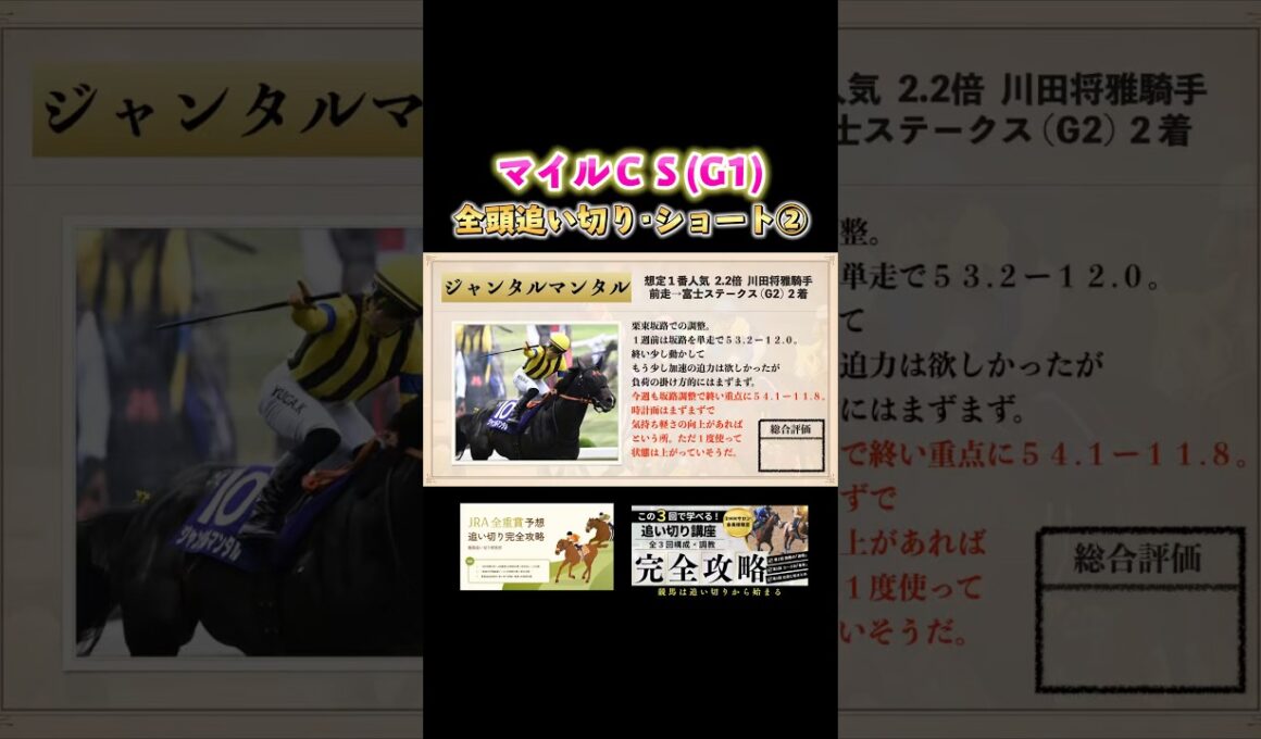 【カンチェンジュンガ・ジャンタルマンタル・シャンパンカラー・ソウルラッシュ・チェルヴィニア】マイルチャンピオンシップ2025 全頭追い切りを調教診断！続きは本編にて。(11月23日京都芝1600m)