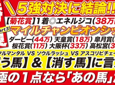 🎯５強に結論→【マイルチャンピオンシップ2025予想】ジャンタルマンタル VS ソウルラッシュなど【買う馬】と【消す馬】に言及！究極の１点なら「あの馬」だ！