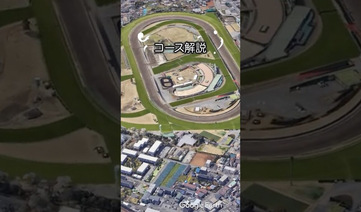 【スプリンターズステークス2025】スプリンターズSコース解説！#競馬 #スプリンターズステークス2025 #スプリンターズステークス#shorts