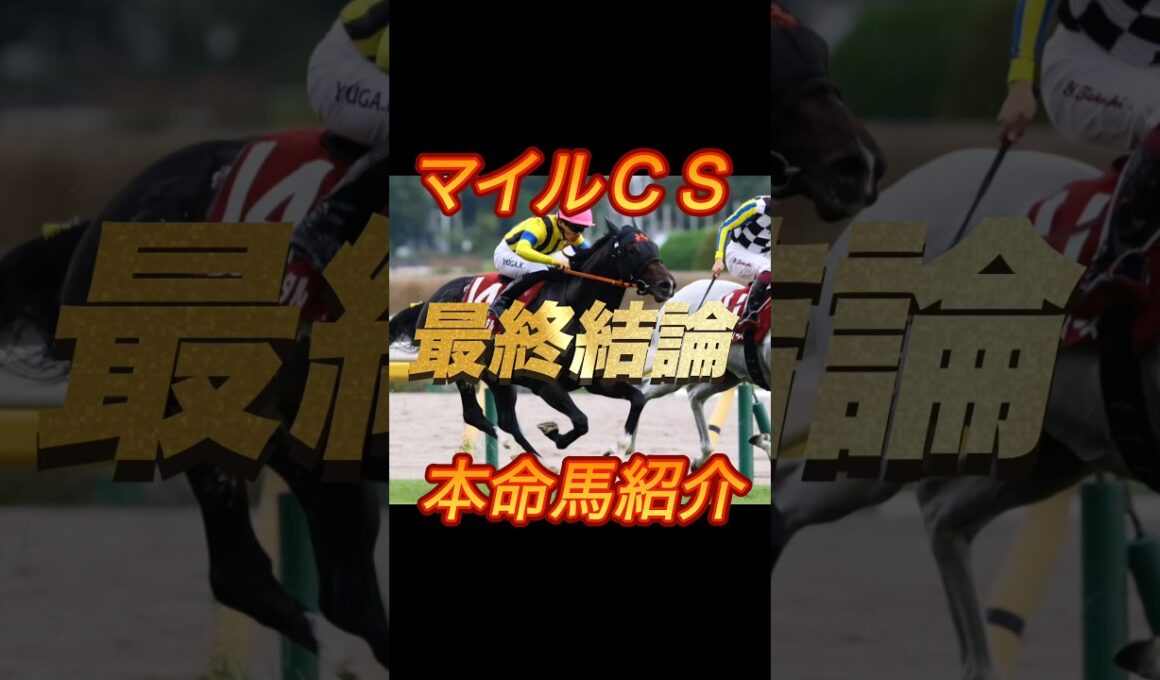 マイルチャンピオンシップ2025 最終結論　本命馬紹介