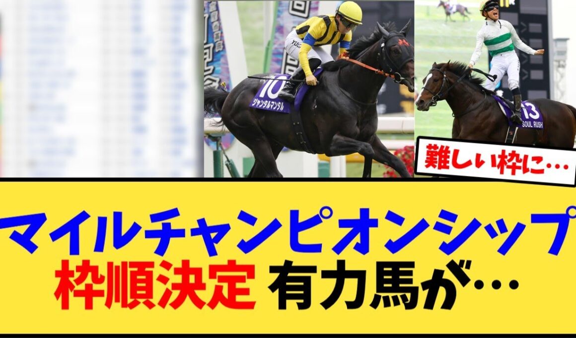 【マイルチャンピオンシップ】マイルCSの枠順決定 有力馬が…【競馬反応集】