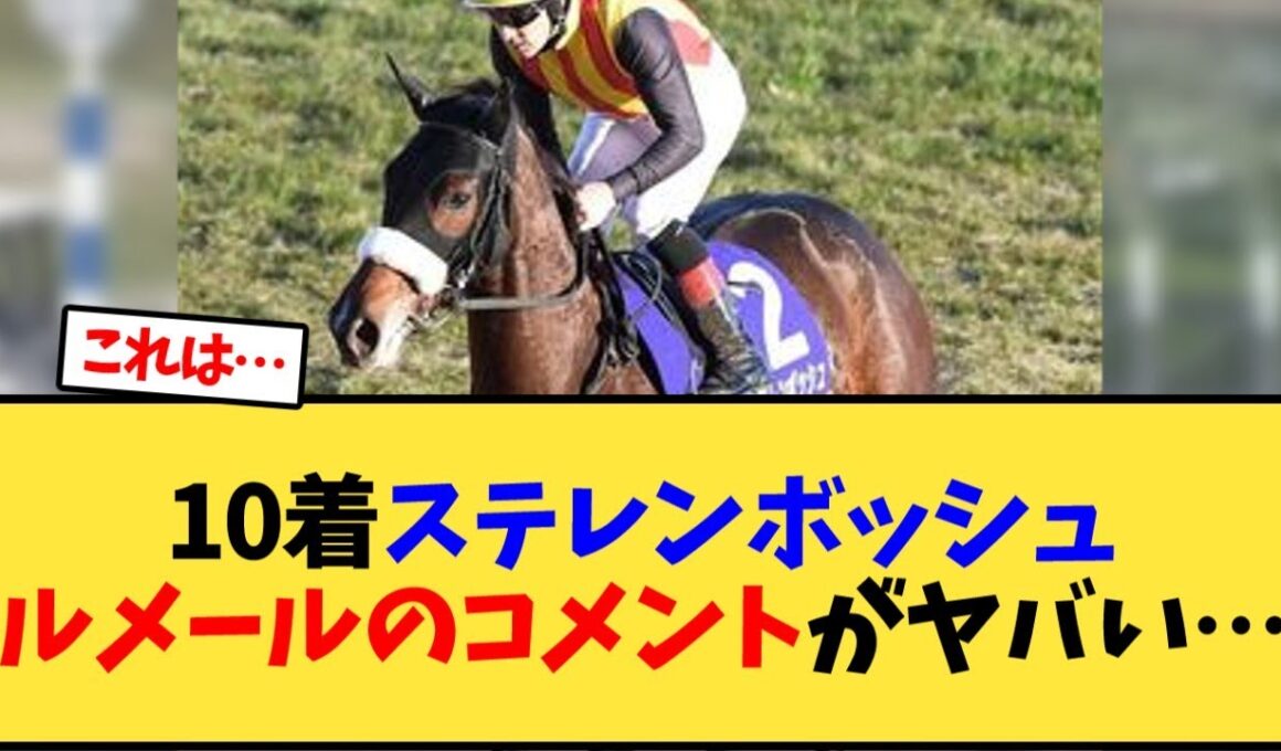 【エリザベス女王杯】10着ステレンボッシュ、ルメール騎手のレース後コメントが…【競馬反応集】