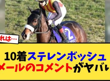 【エリザベス女王杯】10着ステレンボッシュ、ルメール騎手のレース後コメントが…【競馬反応集】
