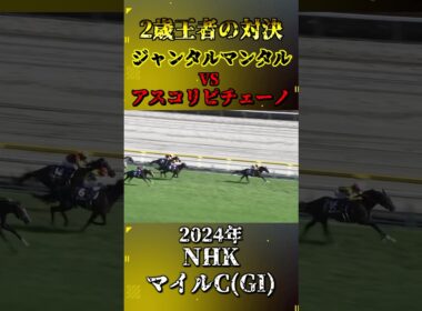 ジャンタルマンタル【2024年NHKマイルカップ(GI)】#shorts #競馬 #nhkマイルカップ #ジャンタルマンタル #アスコリピチェーノ