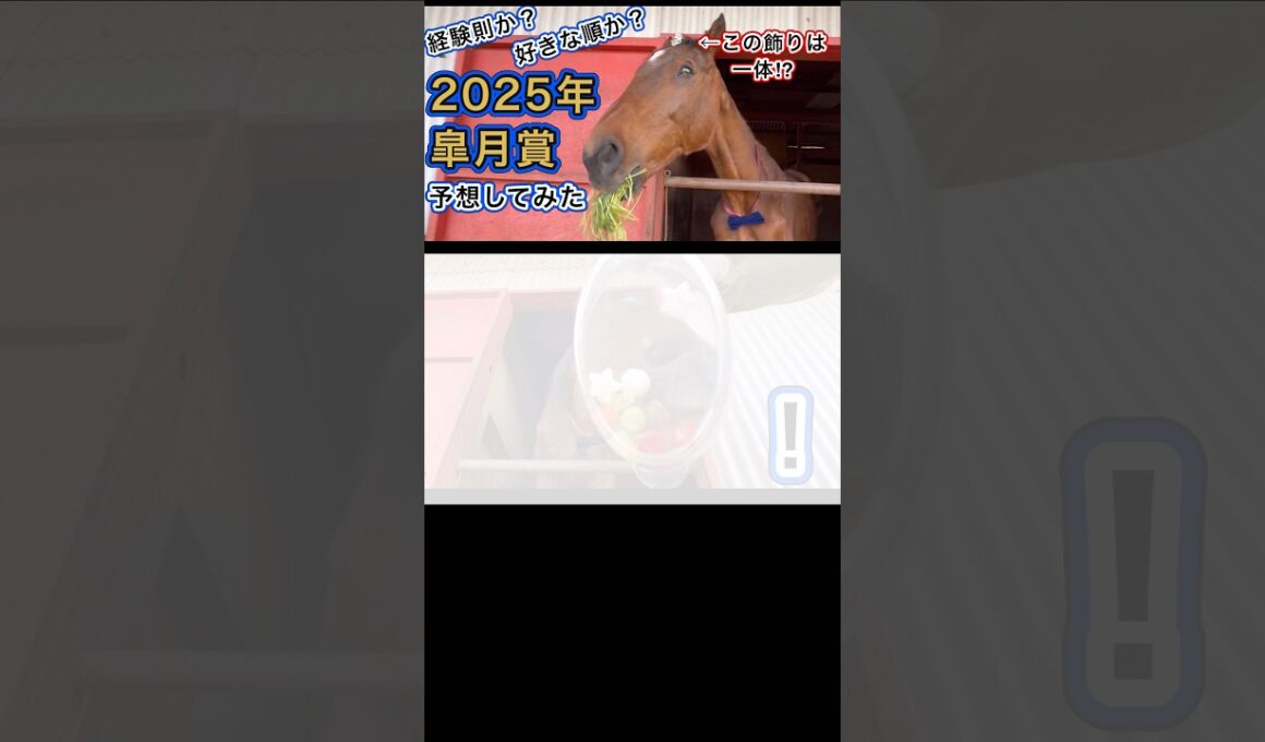 引退競走馬あかつき2025年皐月賞予想　ショート#horse #皐月賞 #なみあし会