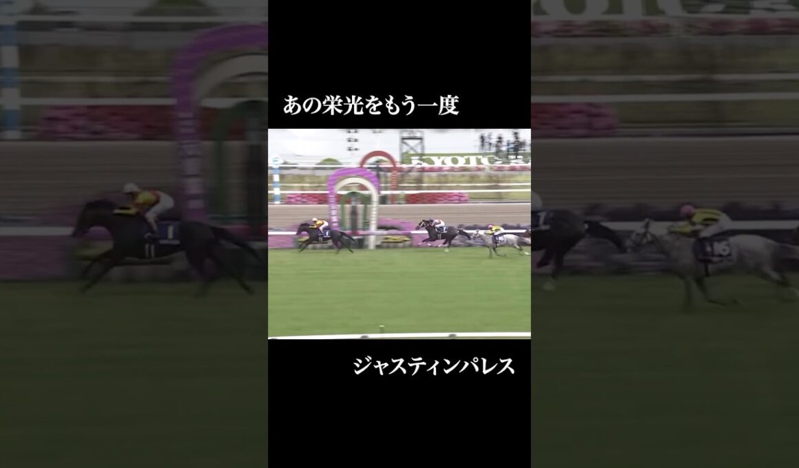 【予告】天皇賞（春）2025  #競馬 #天皇賞 #天皇賞春 #ハヤテノフクノスケ #ショウナンラプンタ #ジャスティンパレス #サンライズアース #へデントール