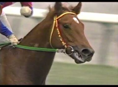 第49回 朝日杯3歳ステークス G1 （1997/12/7・中山） グラスワンダー