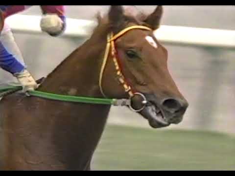 第49回 朝日杯3歳ステークス G1 （1997/12/7・中山） グラスワンダー