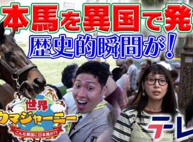 ヴィクトワールピサ・キラーアビリティ・サトノインプレッサが海外で大活躍！！世界ウマジャーニー【テレ東競馬公式】