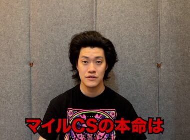 生涯収支マイナス５億円君のマイルCS予想