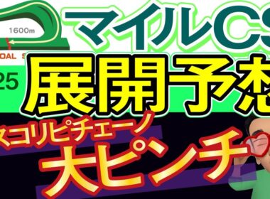 【マイルチャンピオンシップ2025展開予想・データ分析】アスコリピチェーノ大ピンチ！ジャンタルマンタル、ソウルラッシュ、ガイアフォース、ラヴァンダ、ウインマーベル、ルメール、レーン、武豊など参戦