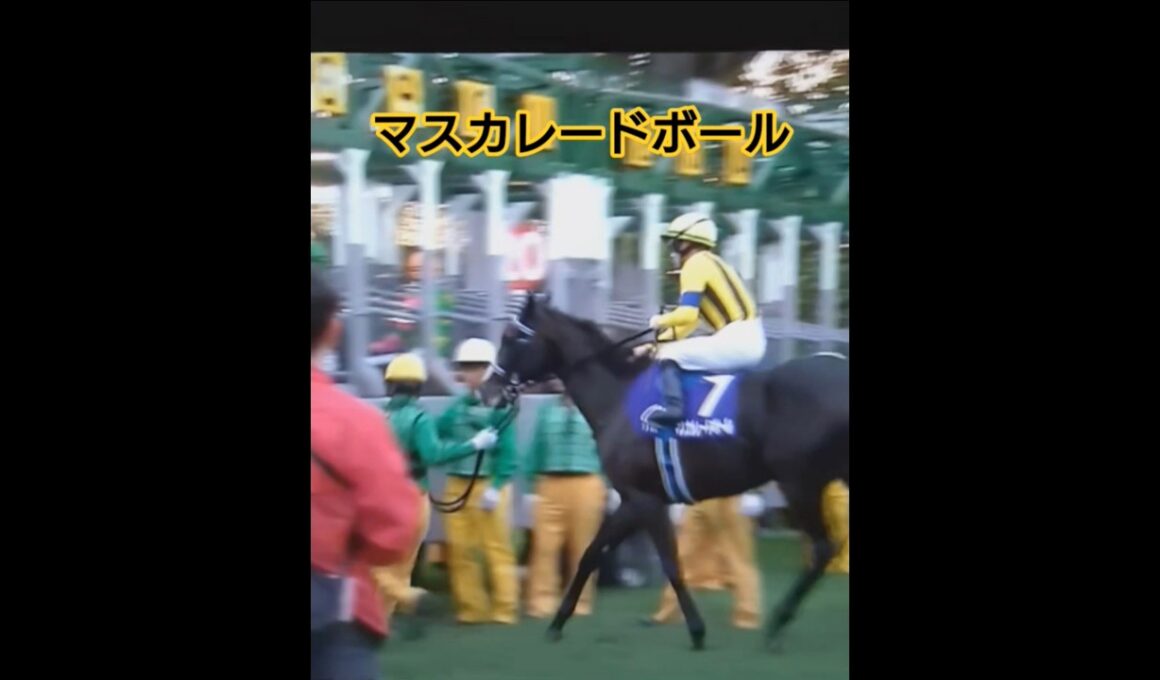 天皇賞・秋2025ゲートイン#マスカレードボール#ソウルオリエンス#天皇賞・秋2025