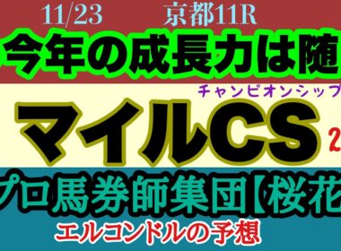 エルコンドル氏のマイルチャンピオンシップ2025予想！！マイル路線今年の大一番！マイル春秋連覇かそれともソウルラッシュの同レース連覇か！はたまた新マイル王誕生か！？