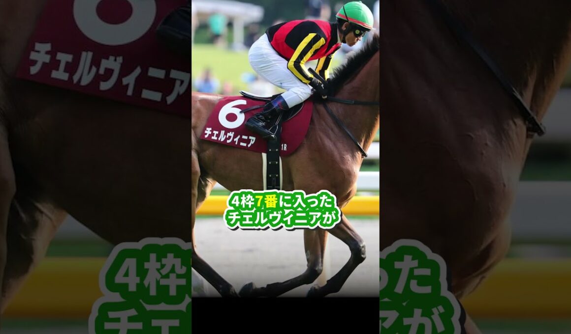 【マイルチャンピオンシップ(GI)】今年も来るぞ『7番』#マイルチャンピオンシップ #マイルCS #競馬予想 #サイン馬券 #ザロイヤルファミリー