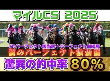【マイルチャンピオンシップ2025】2週連続的中なるか⁉️真のパーフェクト該当馬好走率80%‼️