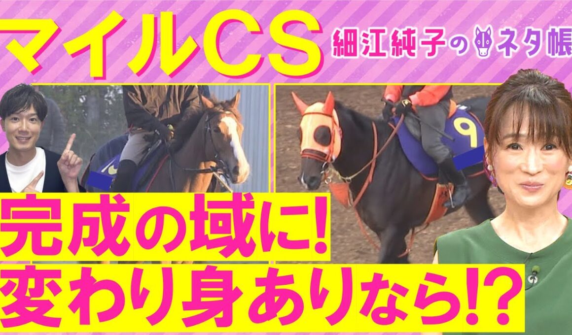 【３週連続注目馬が激走中！】「弾ける追い切り」ジャンタルマンタル、ソウルラッシュ、アスコリピチェーノ・・・マイルチャンピオンシップ(ＧⅠ)を元ジョッキーの細江純子さんが徹底解説！＜細江純子のネタ帳＞