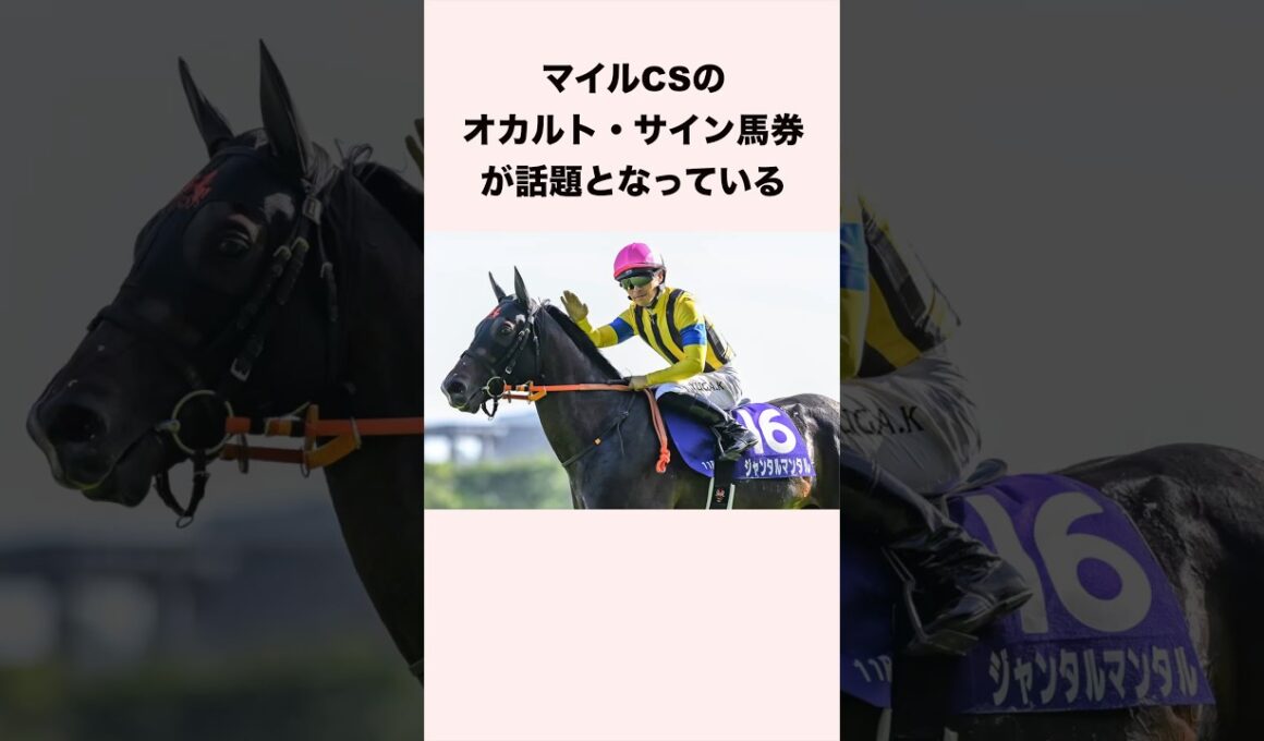 マイルチャンピオンシップのオカルトサイン馬券が話題となっている #競馬 #競馬予想 #ウマ娘 #サイン馬券 #オカルト馬券 #shorts