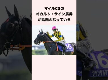 マイルチャンピオンシップのオカルトサイン馬券が話題となっている #競馬 #競馬予想 #ウマ娘 #サイン馬券 #オカルト馬券 #shorts